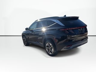 2025 Hyundai Tucson in Antigonish, Nova Scotia - 6 - w320h240px