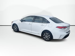2023 Toyota Corolla in Antigonish, Nova Scotia - 6 - w320h240px