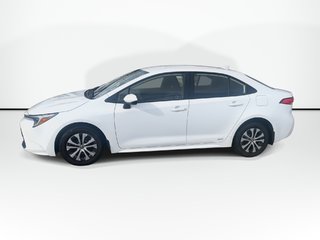 2023 Toyota Corolla in Antigonish, Nova Scotia - 5 - w320h240px