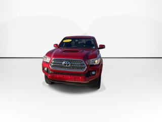 2017 Toyota Tacoma in Antigonish, Nova Scotia - 5 - w320h240px