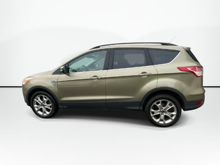2013 Ford Escape SEL in Saint John, New Brunswick - 5 - w320h240px