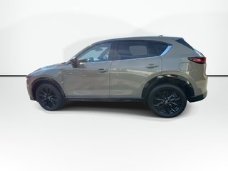 2024 Mazda CX-5 in Antigonish, Nova Scotia - 5 - w320h240px