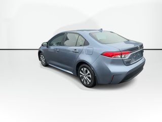 Toyota Corolla Hybrid LE 2024 à Saint John, Nouveau-Brunswick - 6 - w320h240px
