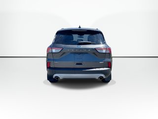 2020 Ford ESCAPE SEL | Backup Cam | USB | Pwr window in Saint John, New Brunswick - 2 - w320h240px