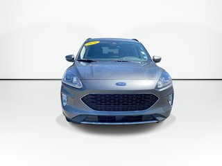 2020 Ford ESCAPE SEL | Backup Cam | USB | Pwr window in Saint John, New Brunswick - 6 - w320h240px