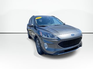 2020 Ford ESCAPE SEL | Backup Cam | USB | Pwr window in Saint John, New Brunswick - 5 - w320h240px