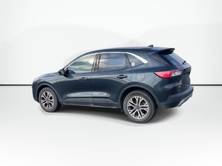 2022 Ford Escape SEL | CAM | LEATHER | USB | WARRANTY TO 2027 in Saint John, New Brunswick - 6 - w320h240px