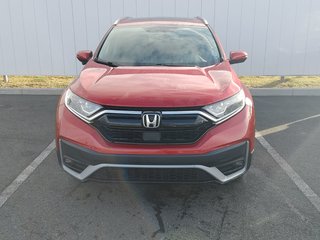 2020 Honda CR-V in Antigonish, Nova Scotia - 2 - w320h240px