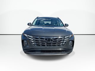 2023 Hyundai TUCSON HYBRID LUXURY | Lthr | Sunroof | Htd Whl | Warrantyto2028 in Saint John, New Brunswick - 6 - w320h240px