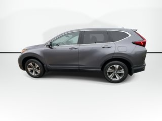 2021 Honda CR-V LX | Cam | USB | HTDSeats | Bluetooth | Keyless in Saint John, New Brunswick - 6 - w320h240px