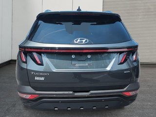 2023 Hyundai Tucson Urban Edition | Leather | Roof | Cam | USB in Saint John, New Brunswick - 4 - w320h240px