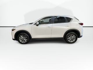 2025 Mazda CX-5 GS | Leather | Roof | Cam | USB | HtdSeats in Saint John, New Brunswick - 5 - w320h240px