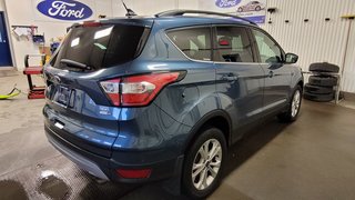 2018  Escape SEL in Bécancour (Gentilly Sector), Quebec - 2 - w320h240px