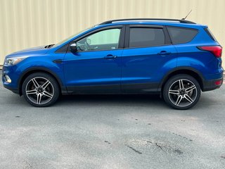 Ford Escape SEL | Cam | USB | HtdSeats | Bluetooth | Keyless 2019 à Bridgewater, Nouveau-Brunswick - 6 - w320h240px