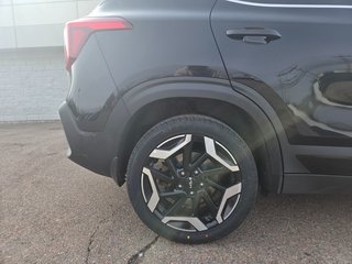 2024 Kia Seltos SX | Leather | Nav | Roof | Cam | Warranty to 2029 in Bridgewater, New Brunswick - 6 - w320h240px