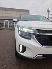 2026 Kia Seltos SX | Leather | Nav | SunRoof | Warranty to 2031 in Bridgewater, New Brunswick - 4 - w320h240px