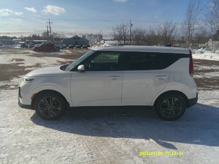 2022 Kia Soul EX+ in Amherst, Nova Scotia - 5 - w320h240px