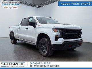 2024 Chevrolet SILVERADO 1500 in Saint-Eustache, Quebec - 4 - w320h240px