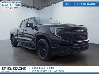 2024 GMC Sierra 1500 in Saint-Eustache, Quebec - 2 - w320h240px