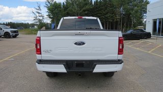 2022 Ford F-150 Super Crew XLT 157'' WB in Les Escoumins, Quebec - 5 - w320h240px