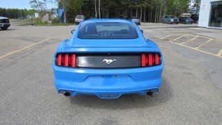 Ford MUSTANG 2.3L EcoBoost 2017 à Les Escoumins, Québec - 5 - w320h240px
