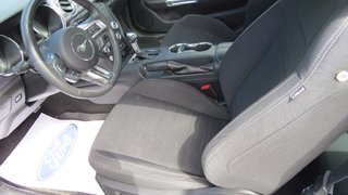Ford MUSTANG 2.3L EcoBoost 2017 à Les Escoumins, Québec - 6 - w320h240px