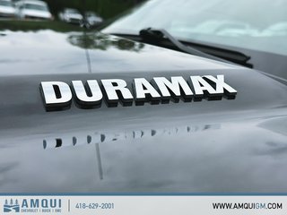 Chevrolet Silverado 1500 RST 2023 à Amqui, Québec - 6 - w320h240px