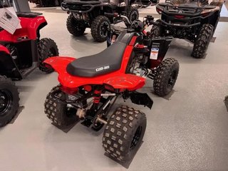 Can-Am DS 250  2026 à Charlemagne, Québec - 4 - w320h240px