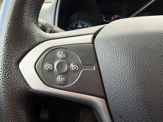 2020 Chevrolet Colorado in Plessisville, Quebec - 14 - w320h240px