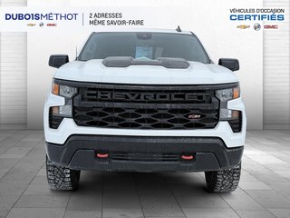 2024 Chevrolet Silverado 1500 CUSTOM TRAIL BOSS, V8 5.3L,4X4, Z71 !!! in Victoriaville, Quebec - 3 - w320h240px