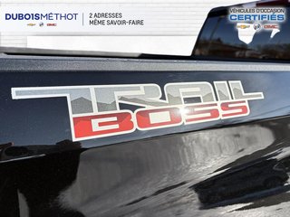 2024 Chevrolet Silverado 1500 in Victoriaville, Quebec - 12 - w320h240px