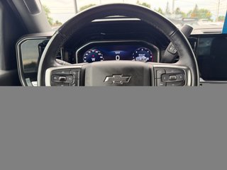 2024 Chevrolet Silverado 3500HD in Plessisville, Quebec - 28 - w320h240px