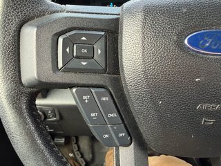 2016 Ford F-150 in Victoriaville, Quebec - 27 - w320h240px