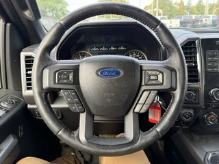 2016 Ford F-150 in Victoriaville, Quebec - 25 - w320h240px
