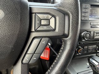 2016 Ford F-150 in Victoriaville, Quebec - 26 - w320h240px