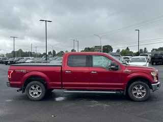 2017 Ford F-150 in Plessisville, Quebec - 8 - w320h240px
