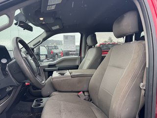 2017 Ford F-150 in Plessisville, Quebec - 18 - w320h240px