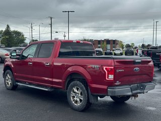 2017 Ford F-150 in Plessisville, Quebec - 5 - w320h240px