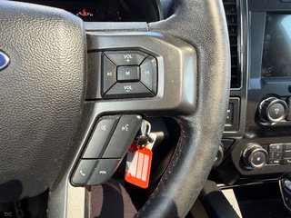 Ford F-150  2019 à Plessisville, Québec - 25 - w320h240px