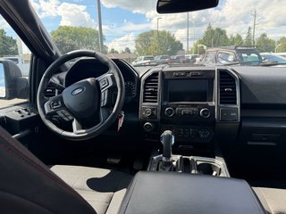 Ford F-150  2019 à Plessisville, Québec - 14 - w320h240px