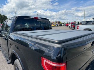 Ford F-150  2019 à Plessisville, Québec - 9 - w320h240px