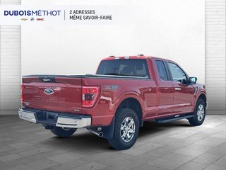 2023 Ford F-150 in Plessisville, Quebec - 8 - w320h240px