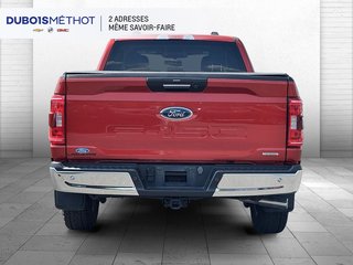 2023 Ford F-150 in Plessisville, Quebec - 7 - w320h240px