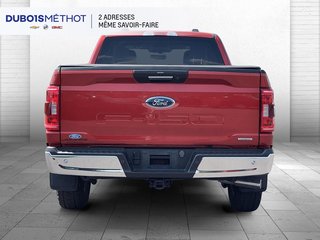 2023 Ford F-150 in Plessisville, Quebec - 6 - w320h240px