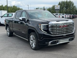 2025 GMC Sierra 1500 in Plessisville, Quebec - 10 - w320h240px