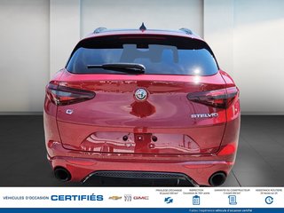 2023 Alfa Romeo Stelvio in Alma, Quebec - 7 - w320h240px