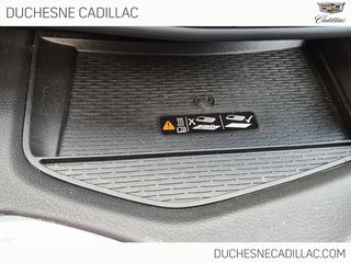 2025 Cadillac CT4 in Alma, Quebec - 24 - w320h240px