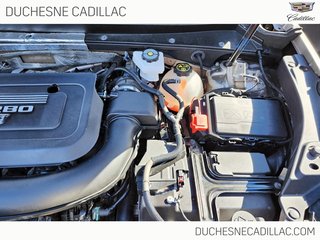 Cadillac XT4 AWD  2023 à Alma, Québec - 28 - w320h240px