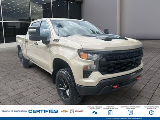 2022 Chevrolet Silverado 1500 4WD Crew Cab Custom Trail Boss in Alma, Quebec - 3 - w320h240px
