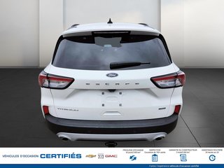 Ford Escape FWD  2021 à Alma, Québec - 5 - w320h240px